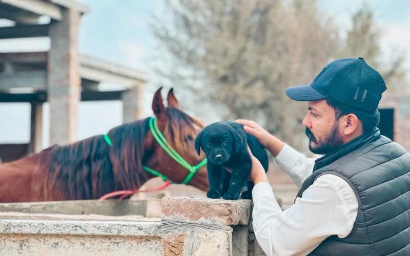 Sufi event celebration